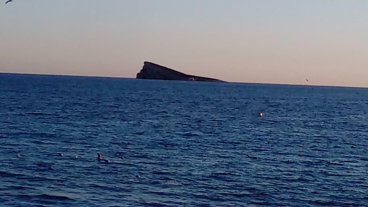 Apartamento "Solaz" Benidorm Exteriör bild